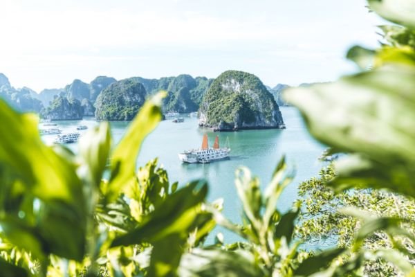 halong bay cruise 