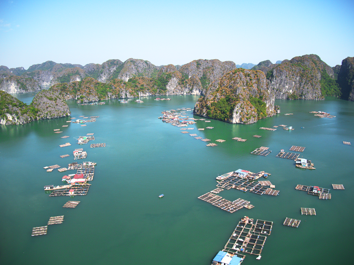 Ha Long Bay’s Ancient Fishing Villages