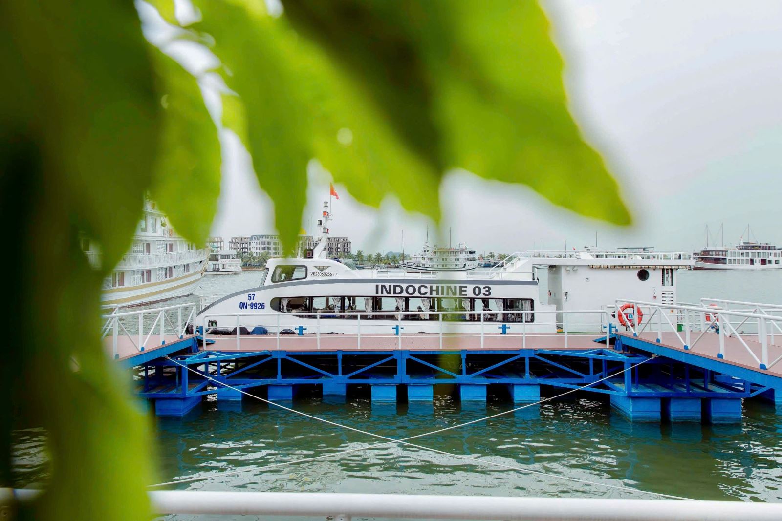 Indochina Sails - Halong Bay Cruise